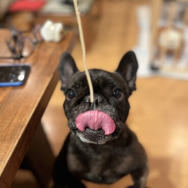 の写真