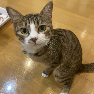 人懐っこい♡甘えん坊な救太くん♡