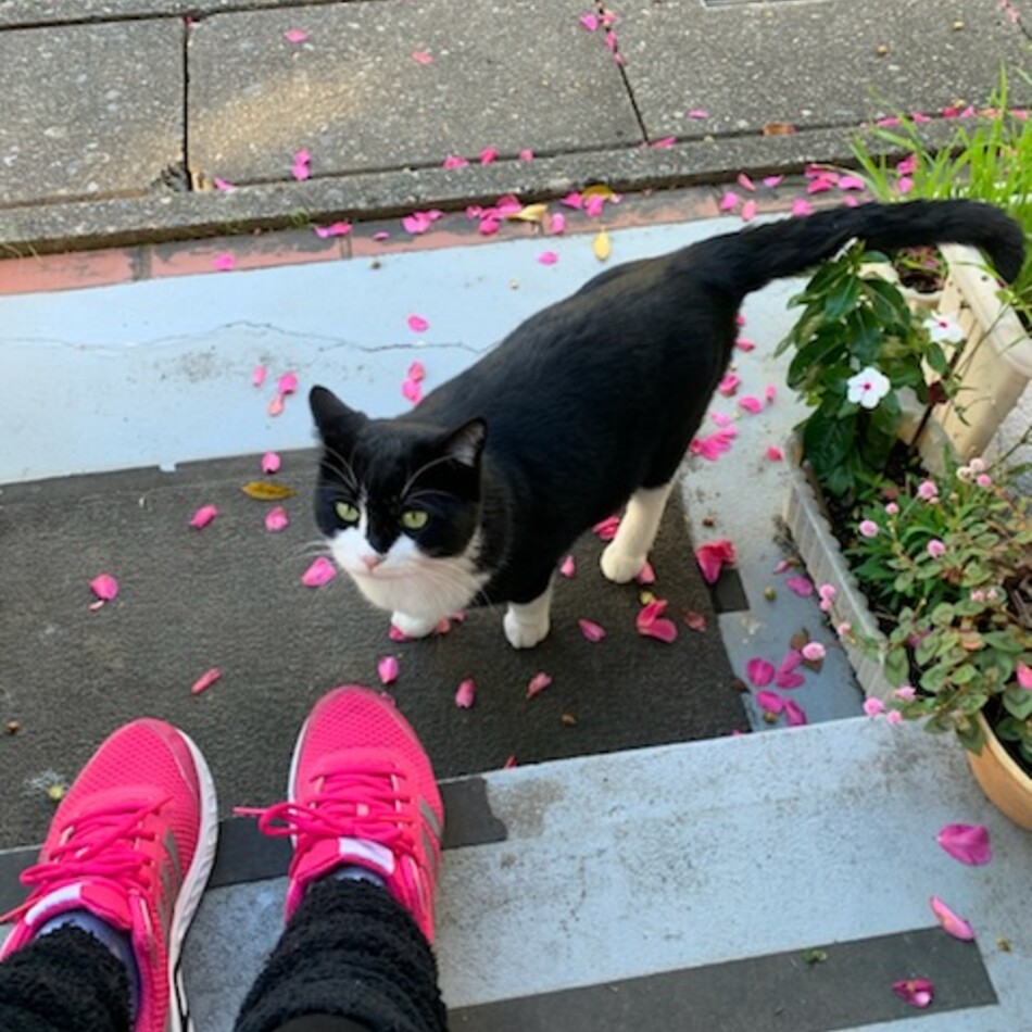 オレオのカバー写真