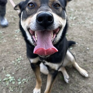 ももちゃん、人もワンコも大好きな女の子