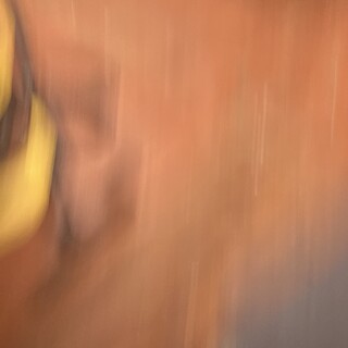生後約3ヶ月の子犬里親緊急募集