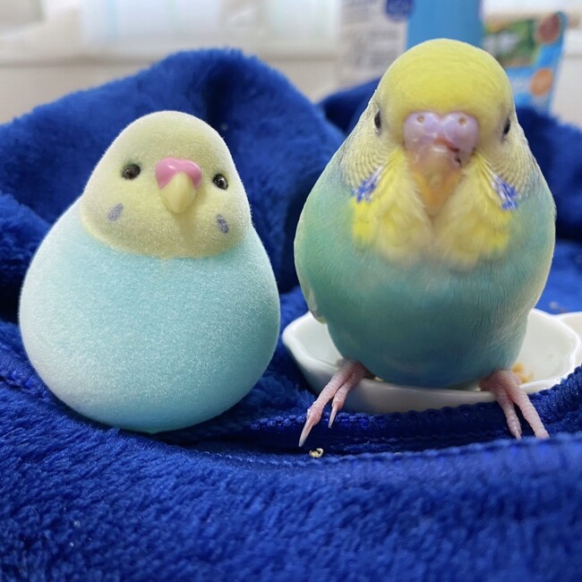 ★☆ゆう☆★のカバー写真