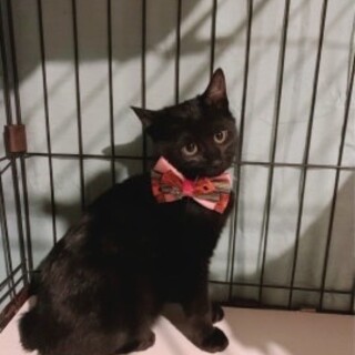 遊ぶの大好き　みずほちゃん♡