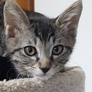 素敵なご家族に迎えていただけました☆れん君