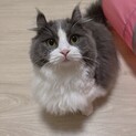 短足1歳男の子