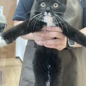 抱っこ大好き☆クリクリおメメのクロスケ君