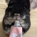 どうか幸せでいてください