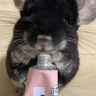 どうか幸せでいてください