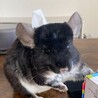 どうか幸せでいてください サムネイル3