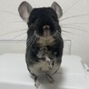 どうか幸せでいてください サムネイル4