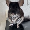 どうか幸せでいてください サムネイル5