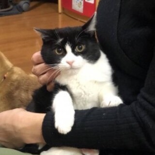 優しいお顔の丸顔ちゃんリバーちゃん♡