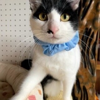 とっても食いしん坊なナズナ♡前髪ステキ