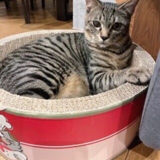 君の目はいつでもキラキラお目目だよ♡