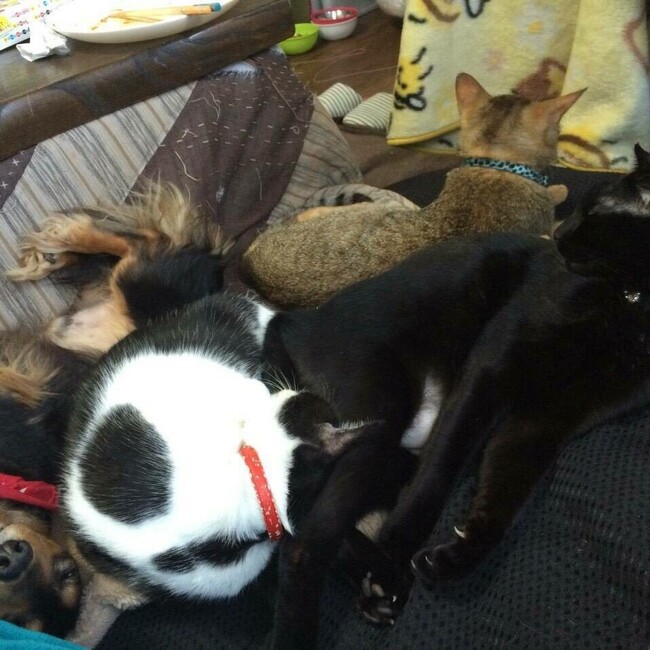 まっちゃん。。。のカバー写真