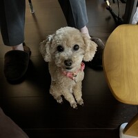ミルク