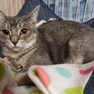 愛くるしいお顔のちびまるこちゃん♡