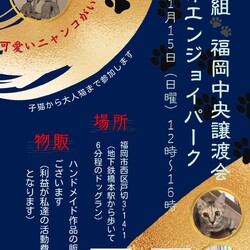 ねこ組福岡中央譲渡会atエンジョイパーク サムネイル1