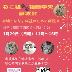 ねこ組福岡中央譲渡会atなな。猫達のための病院