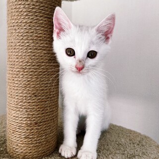 12/18西千葉ෆ⃛４兄妹ですෆ⃛はっちちゃん