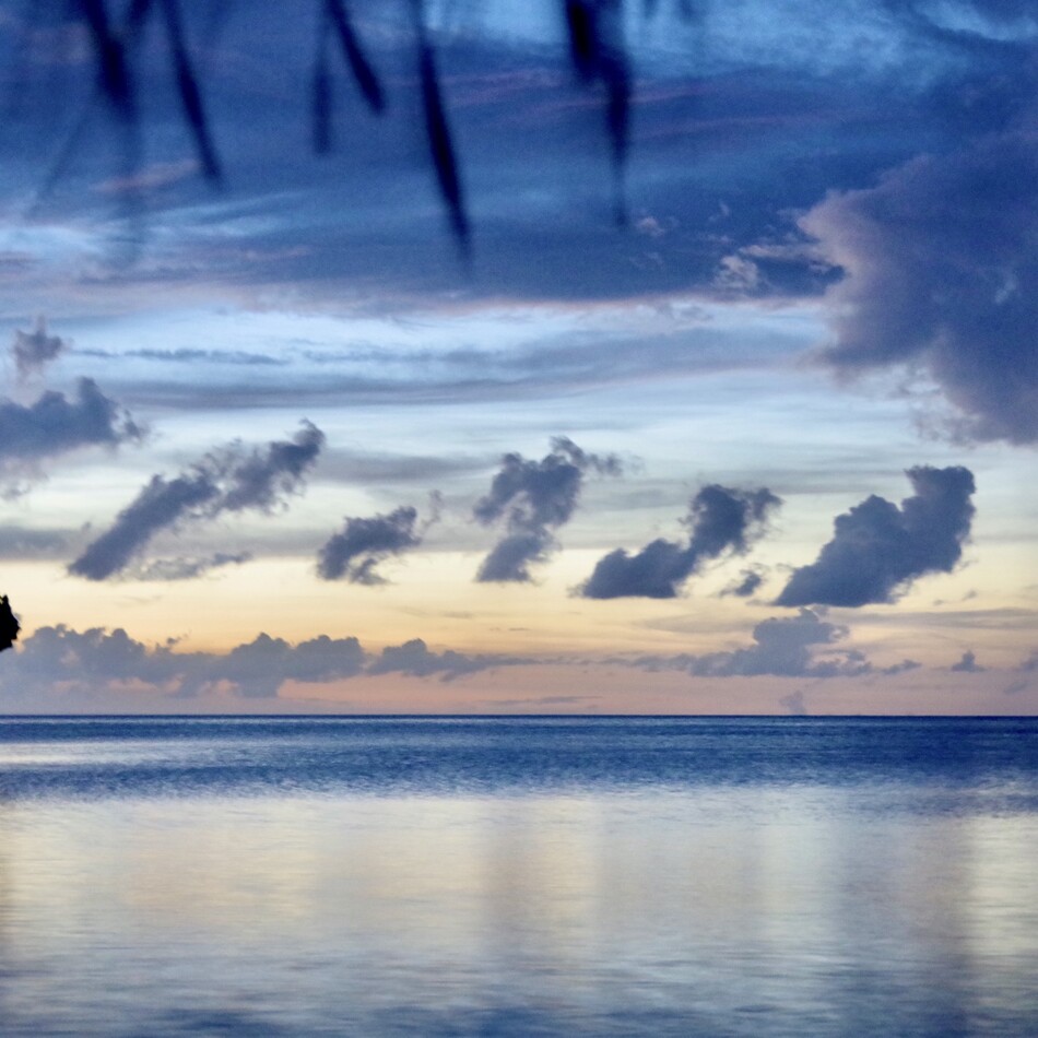 LEOのカバー写真