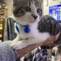 虎次郎
