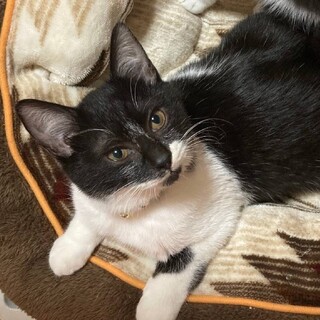 元気いっぱい食いしん坊な大雅くん