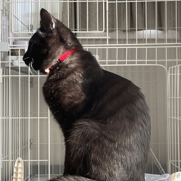 ぼくのイケてる横顔