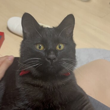 黒くて普段ははっきりしないぼくのお顔。