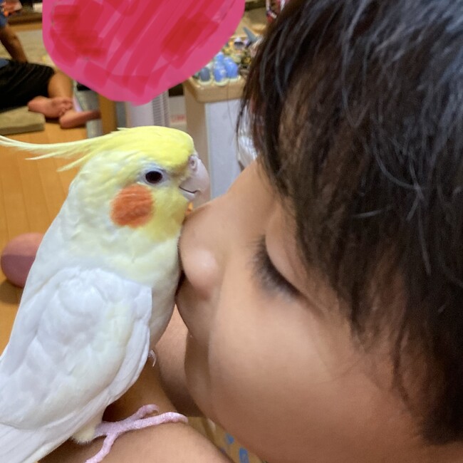 みんみ3750のカバー写真