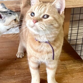 C22-W1123 ⑲　最高に甘えん坊(^^;