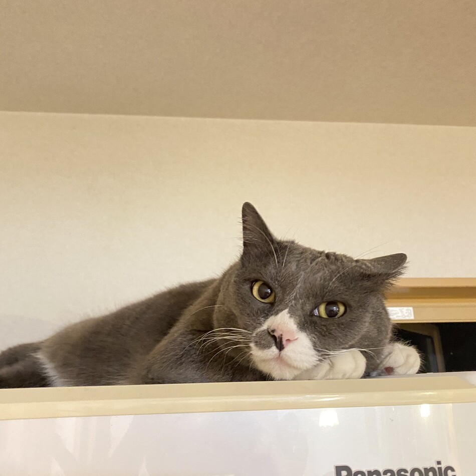 いーくんのカバー写真