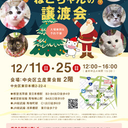 ねこざんまい譲渡会@東日本橋