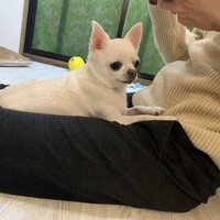 角野　幸梅