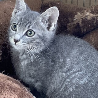 恥ずかしがり屋の男の子です????????