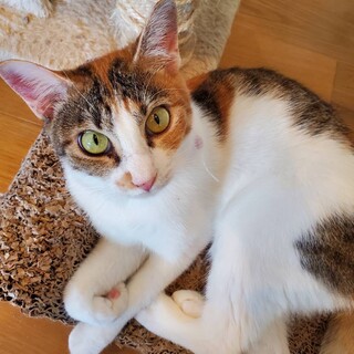 人も遊びも大好きな女の子♪ほなみちゃん♡