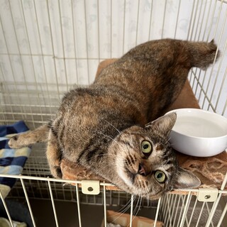 人が大好きな女の子です