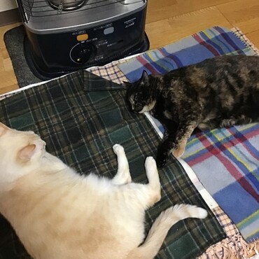 ちょこママファミリーの皆さん、寒いね。来年も一緒に一緒に遊ぼうね！