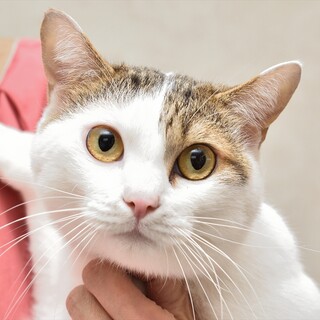 まりお君。無邪気な箱入りボーイ。