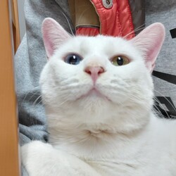 幸せをつなぐ会 サムネイル2