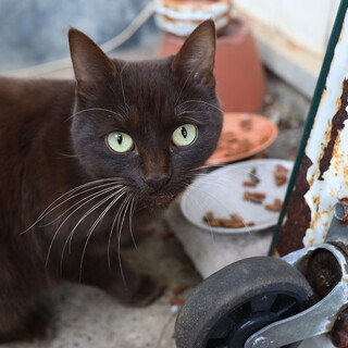 人懐れ抜群の女の子