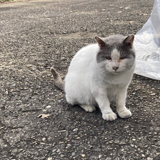 気の優しい男の子❗️