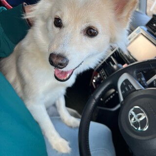 美人な明（みん）ちゃん