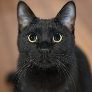 こんなに優しい子は...他にいません♡