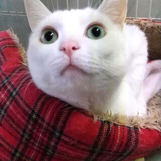 ゆきと君。素直で優しいハンサムボーイ。