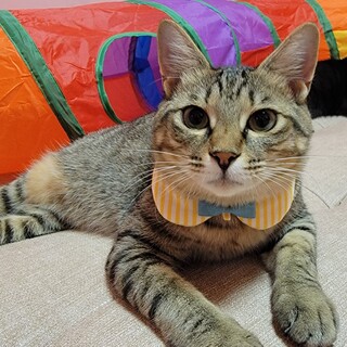 一緒にいると穏やかで優しい時間が流れます