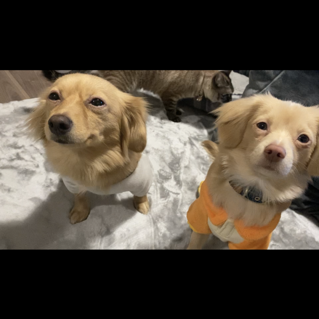 Reremのカバー写真