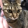 ポータくん
