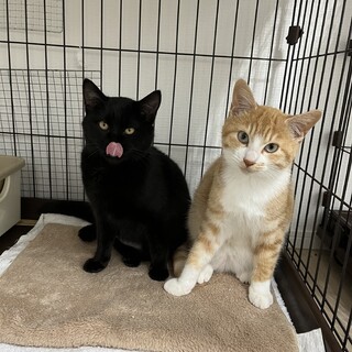 モコモコふわふわな姉弟♪