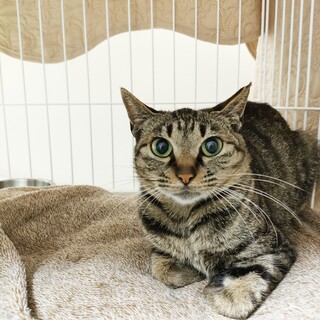 整ったお顔のカワイイ女の子